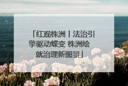 红观株洲丨法治引擎驱动蝶变 株洲绘就治理新图景
