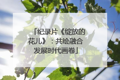 纪录片《绽放的花儿》：共绘融合发展时代画卷