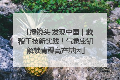 绿镜头·发现中国｜藏粮于技新实践！气象密钥解锁青稞高产基因