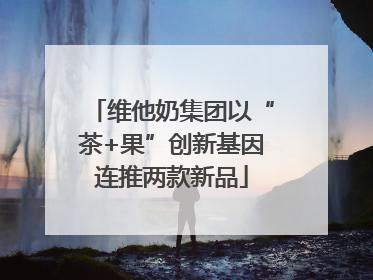 维他奶集团以“茶+果”创新基因连推两款新品