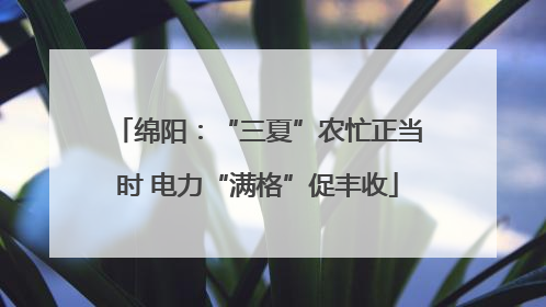 绵阳：“三夏”农忙正当时 电力“满格”促丰收