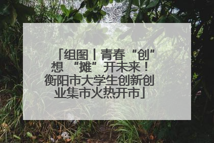 组图丨青春“创”想 “摊”开未来！衡阳市大学生创新创业集市火热开市