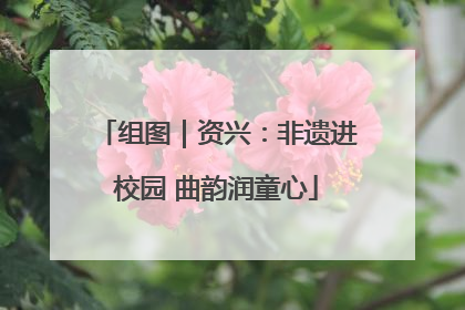 组图｜资兴：非遗进校园 曲韵润童心