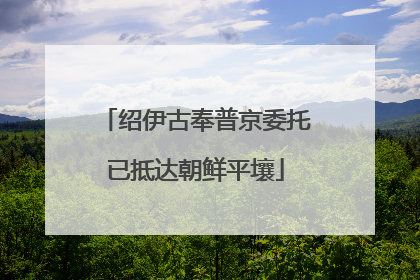 绍伊古奉普京委托已抵达朝鲜平壤