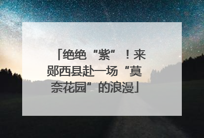 绝绝“紫”！来郧西县赴一场“莫奈花园”的浪漫