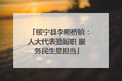 绥宁县李熙桥镇：人大代表勤履职 服务民生显担当