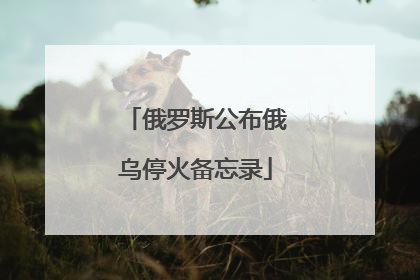 俄罗斯公布俄乌停火备忘录