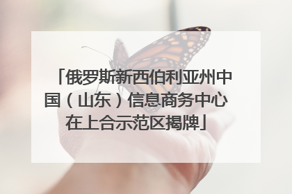 俄罗斯新西伯利亚州中国（山东）信息商务中心在上合示范区揭牌