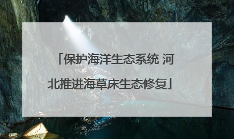 保护海洋生态系统 河北推进海草床生态修复