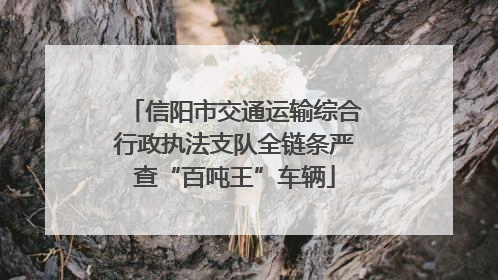 信阳市交通运输综合行政执法支队全链条严查“百吨王”车辆