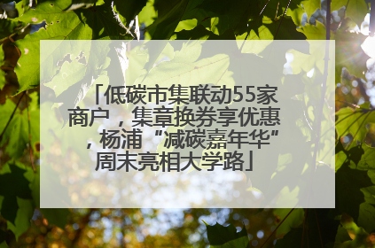 低碳市集联动55家商户，集章换券享优惠，杨浦“减碳嘉年华”周末亮相大学路