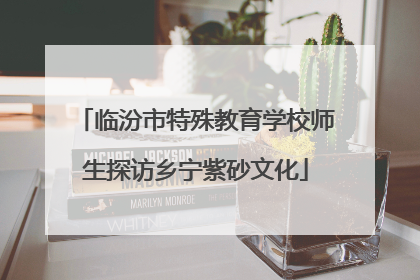 临汾市特殊教育学校师生探访乡宁紫砂文化
