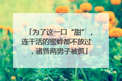 为了这一口“甜”，连干活的蜜蜂都不放过，诸暨两男子被抓