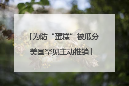 为防“蛋糕”被瓜分 美国罕见主动推销