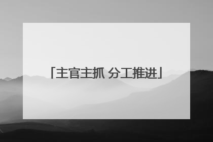 主官主抓 分工推进