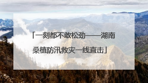 一刻都不敢松劲——湖南桑植防汛救灾一线直击