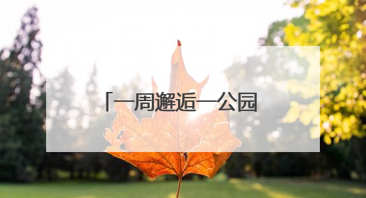一周邂逅一公园 天坛神乐亮先声