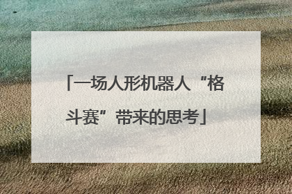 一场人形机器人“格斗赛”带来的思考
