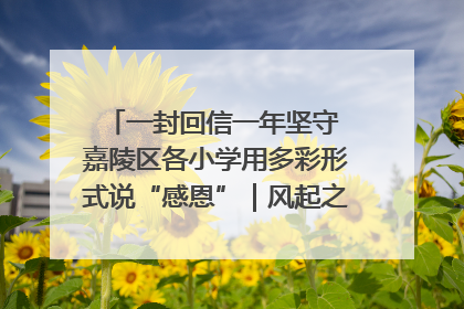 一封回信一年坚守 嘉陵区各小学用多彩形式说“感恩”|风起之江 扶摇直上