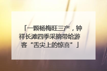 一颗杨梅旺三产，钟祥长滩四季采摘带给游客“舌尖上的惊喜”