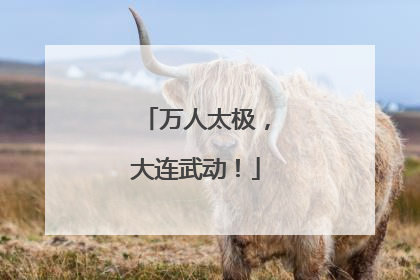 万人太极，大连武动！