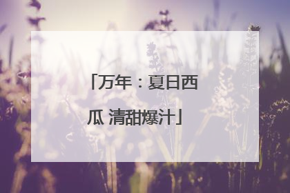 万年：夏日西瓜 清甜爆汁