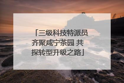 三级科技特派员齐聚咸宁茶园 共探转型升级之路