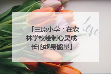 三原小学：在森林学校绘制心灵成长的终身能量