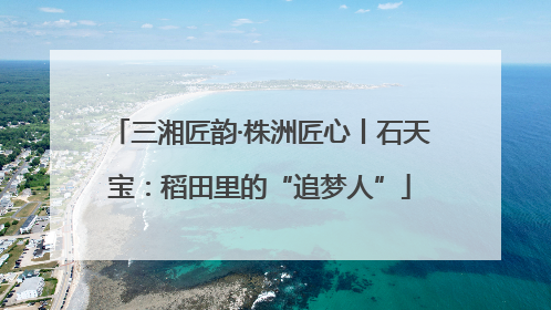 三湘匠韵·株洲匠心丨石天宝：稻田里的“追梦人”