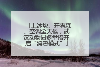 上冰块、开雾森、空调全天候，武汉动物园多举措开启“消暑模式”