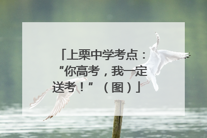 上栗中学考点：“你高考，我一定送考！”（图）
