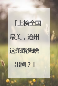上榜全国最美，沧州这条路凭啥出圈？