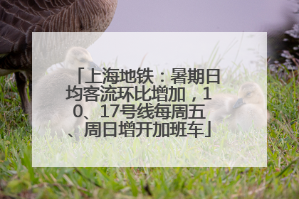 上海地铁：暑期日均客流环比增加，10、17号线每周五、周日增开加班车