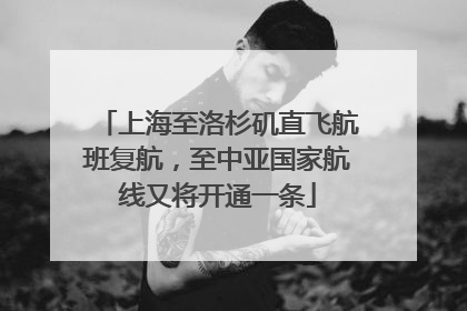上海至洛杉矶直飞航班复航，至中亚国家航线又将开通一条