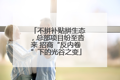 不拼补贴拼生态，总部项目纷至沓来 招商“反内卷”下的光谷之变