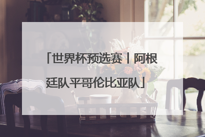 世界杯预选赛丨阿根廷队平哥伦比亚队