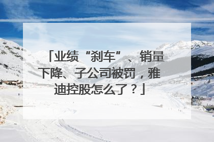 业绩“刹车”、销量下降、子公司被罚，雅迪控股怎么了？