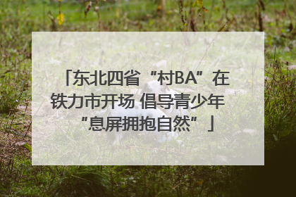东北四省“村BA”在铁力市开场 倡导青少年“息屏拥抱自然”