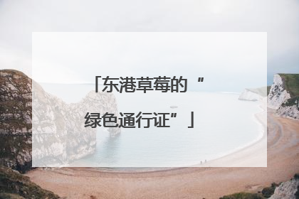 东港草莓的“绿色通行证”