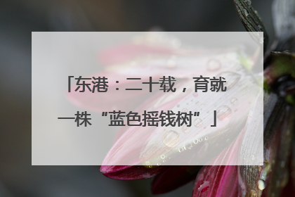 东港：二十载，育就一株“蓝色摇钱树”