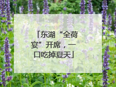 东湖“全荷宴”开席，一口吃掉夏天