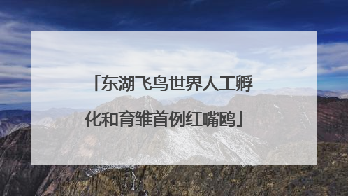 东湖飞鸟世界人工孵化和育雏首例红嘴鸥