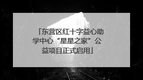 东营区红十字益心助学中心“星星之家”公益项目正式启用