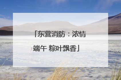东营消防：浓情端午 粽叶飘香