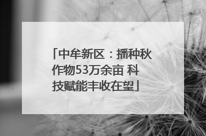 中牟新区：播种秋作物53万余亩 科技赋能丰收在望