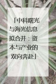 中科曙光与海光信息拟合并：资本与产业的双向奔赴