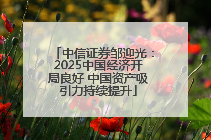 中信证券邹迎光：2025中国经济开局良好 中国资产吸引力持续提升