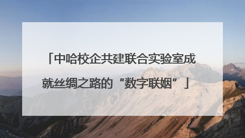 中哈校企共建联合实验室成就丝绸之路的“数字联姻”