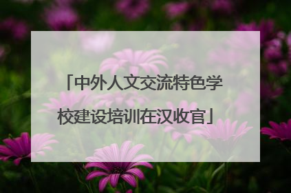 中外人文交流特色学校建设培训在汉收官