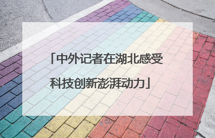 中外记者在湖北感受科技创新澎湃动力